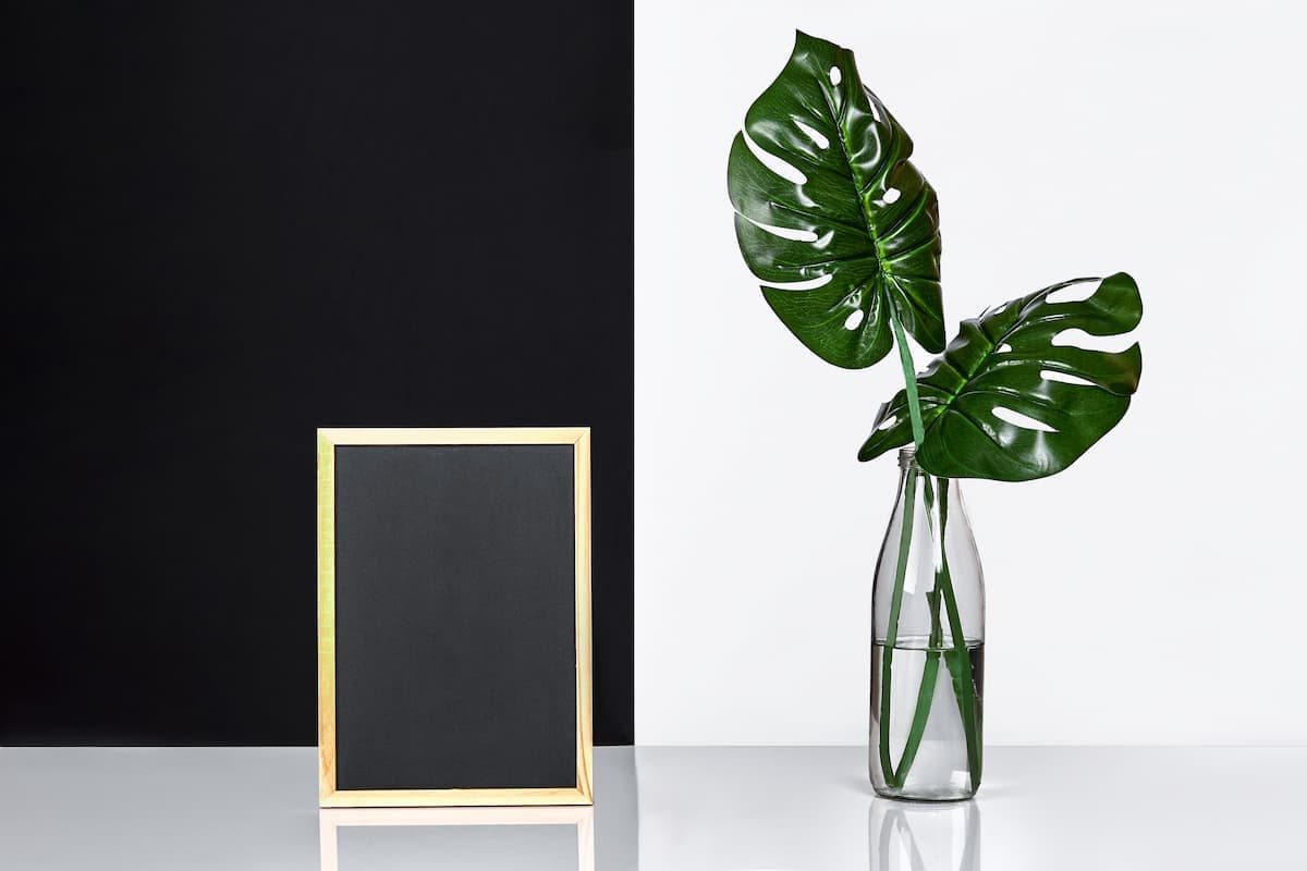 Banner Default Background