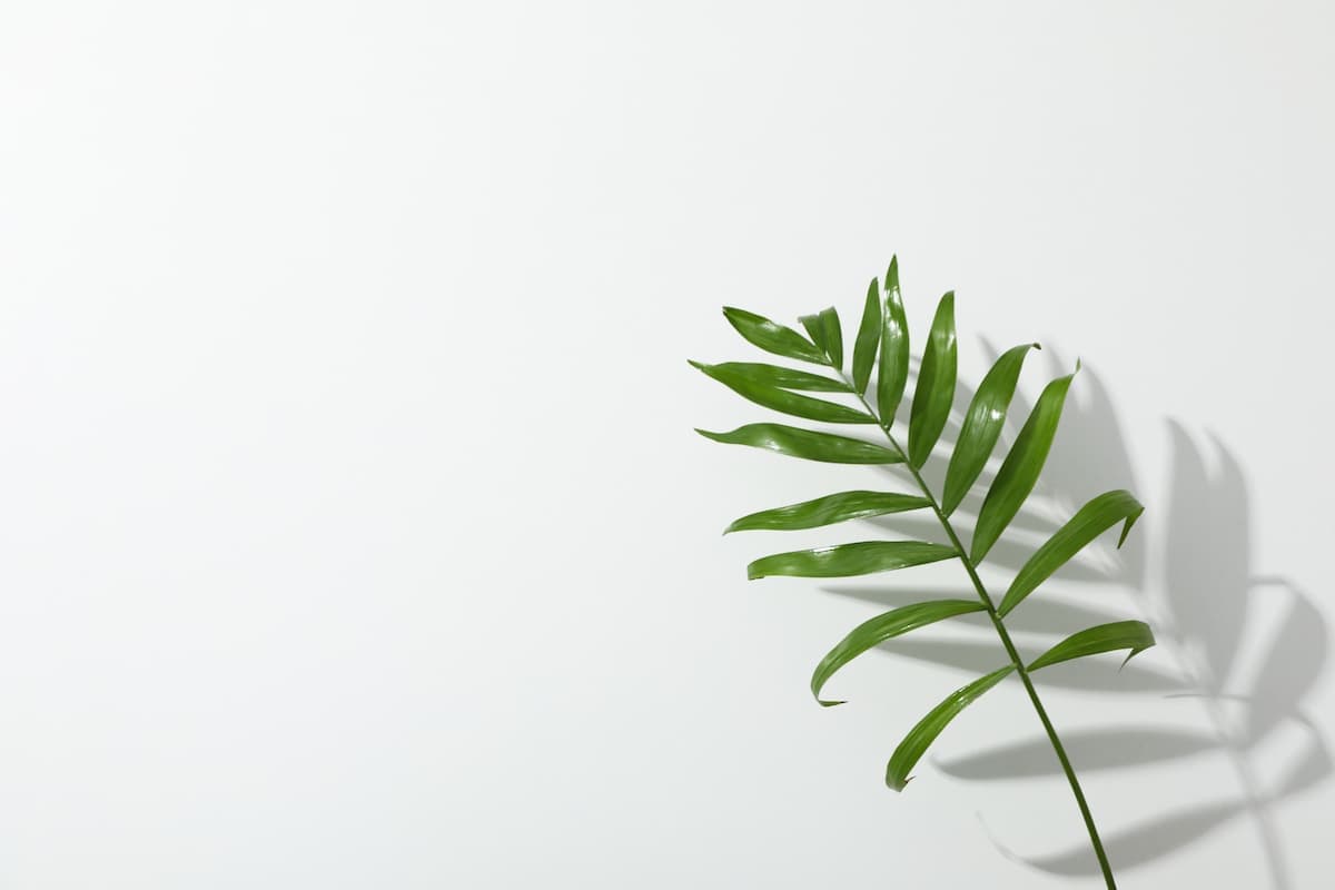 Banner Default Background